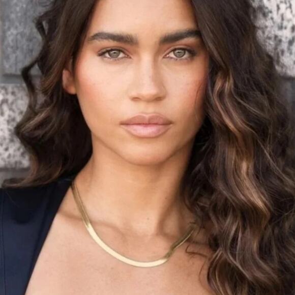 Jennifer Zeuner 14K Gold Vermeil Hamilton Necklace Solid Chain Minimalist - Picture 1 of 6